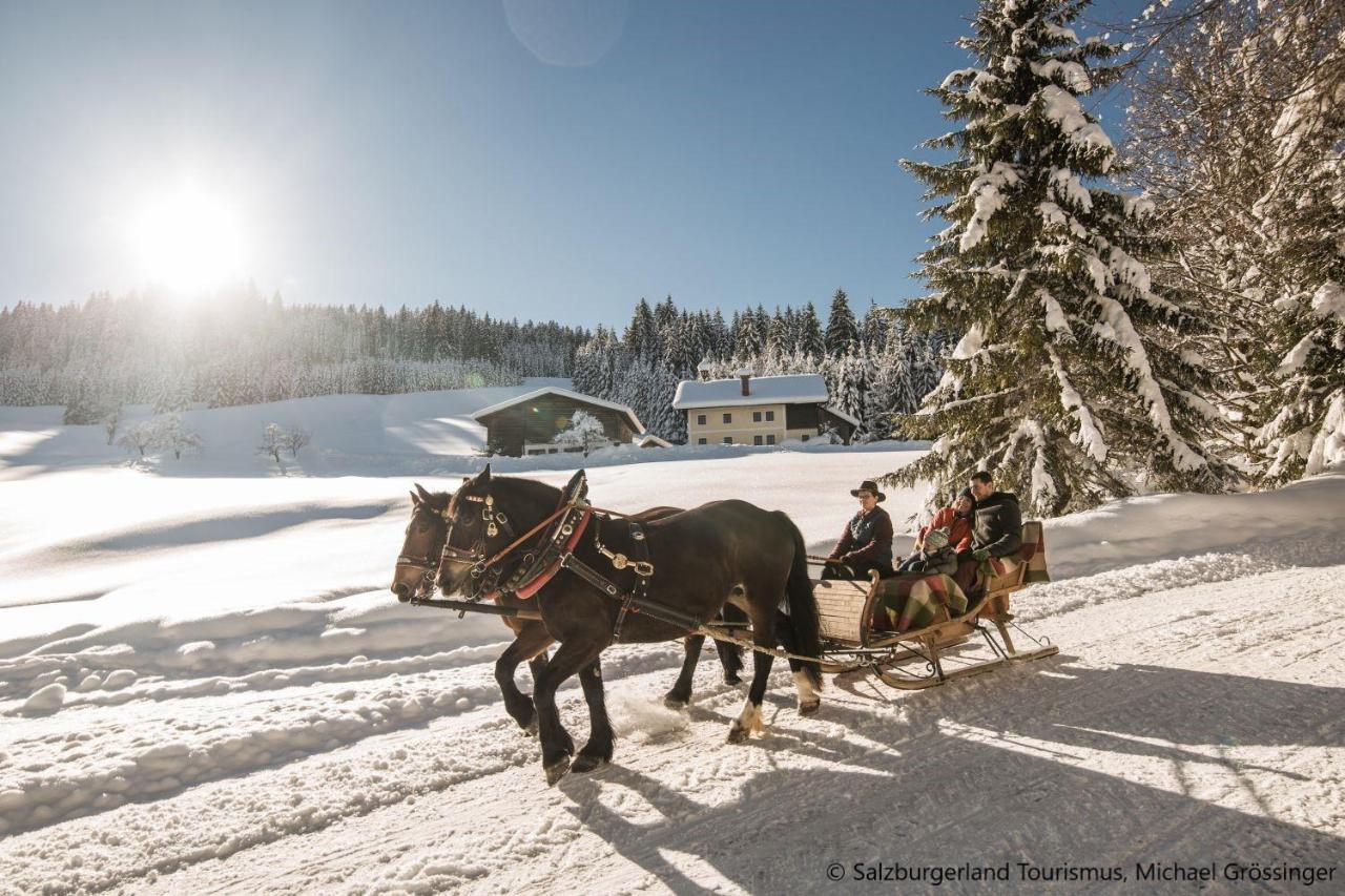 Hideaway Dachstein West By Alps Resorts ザンクト・マルティン・アム・テンネンゲビルゲ エクステリア 写真